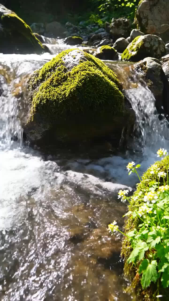 #WakeyClips #NatureSounds #Alarm #MiracleMorning #ASMR #MorningRoutine #BirdSong #WaterSounds #Relaxing #자연의소리 #새소리 #물소리 #알람앱 #기상알람 #미라클모닝 #갓생 #SonidosDeLaNaturaleza #Despertar #Relajacion #أصوات_الطبيعة #صباح_الخير #منبه #目覚ましアプリ #自然の音 #癒や시 #ASMR🌱
